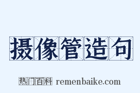 摄像管造句是什么意思的图片